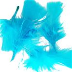 Plumas celestes 10u